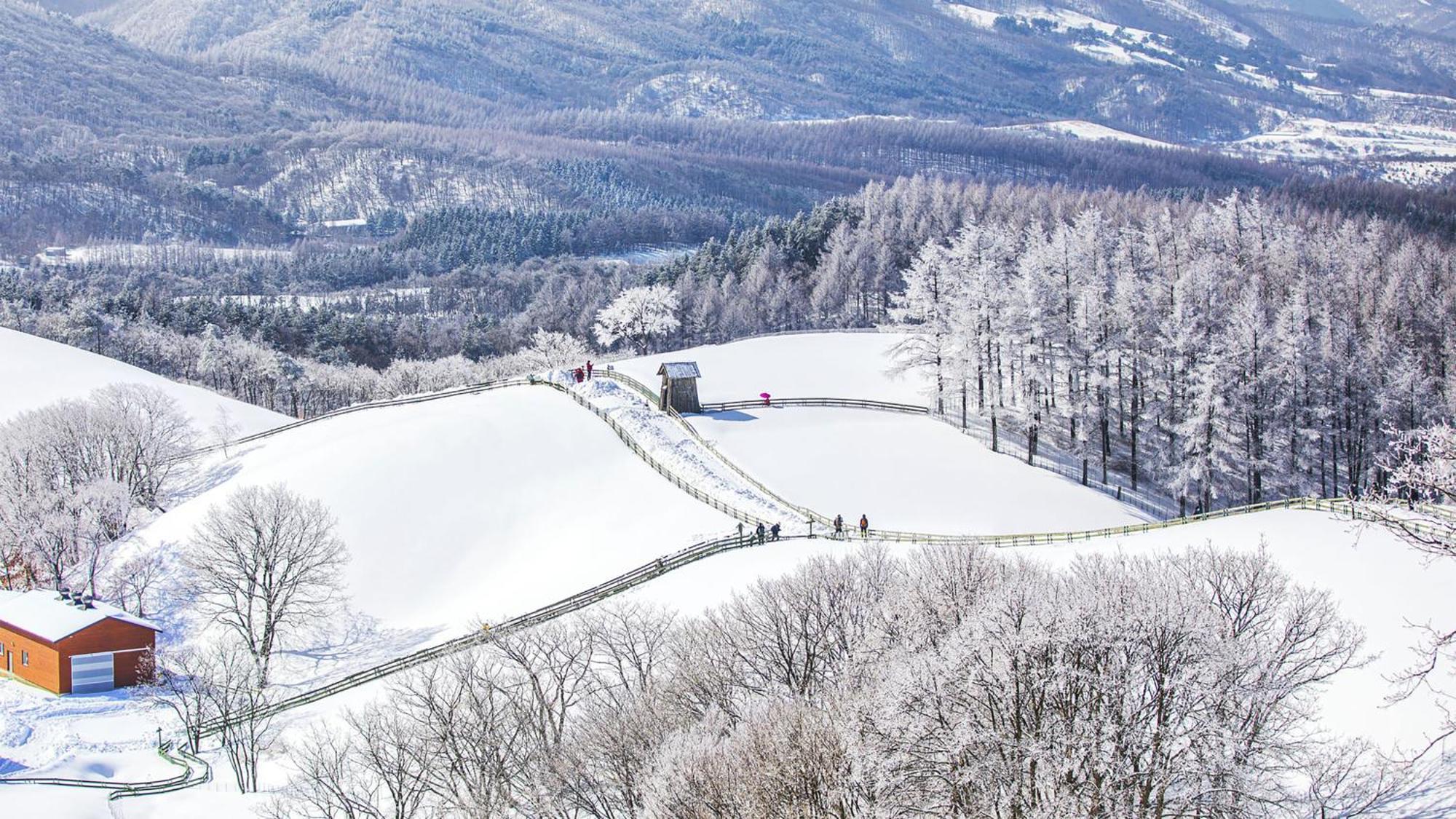 Alpensia By Ihg Resort